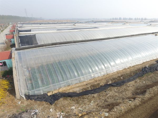 漲知識！專業溫室大棚建設要點